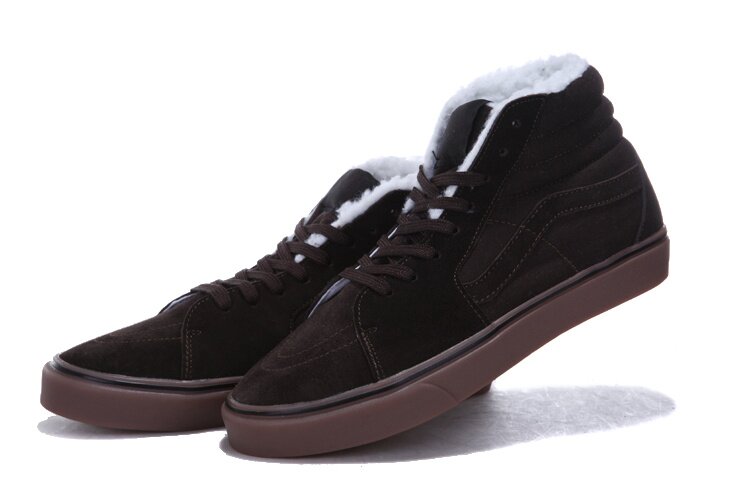 Chaussures Vans SK8 V04