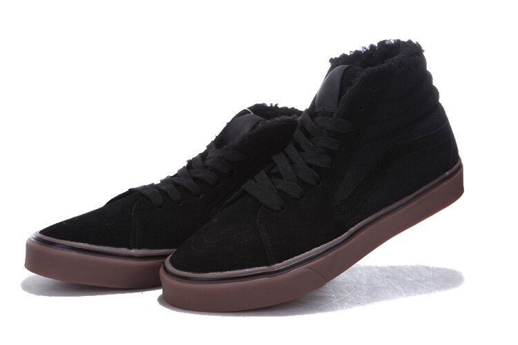Chaussures Vans SK8 V05