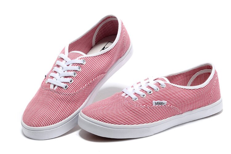 Chaussures Vans Classics V05