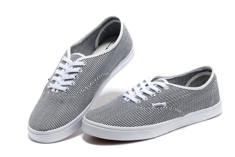 Chaussures Vans Classics V06