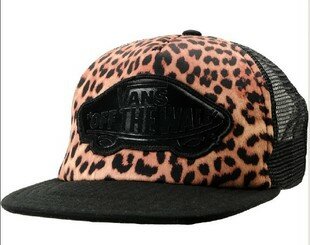 Casquettes Vans V14
